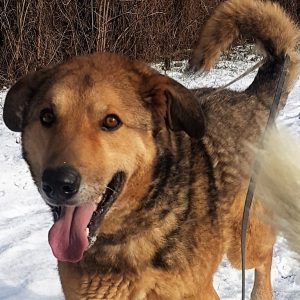 Sammy